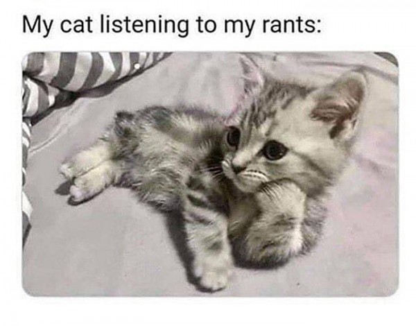 cat-memes-listening-to-rants.jpg